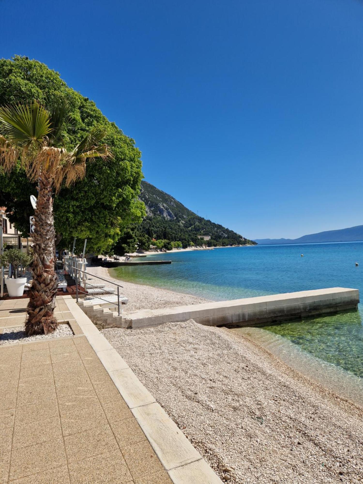 Apartman Zana