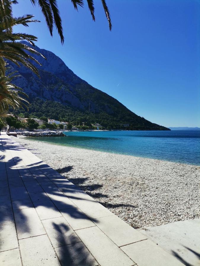 Apartment Zana Gradac (Split-Dalmatia)