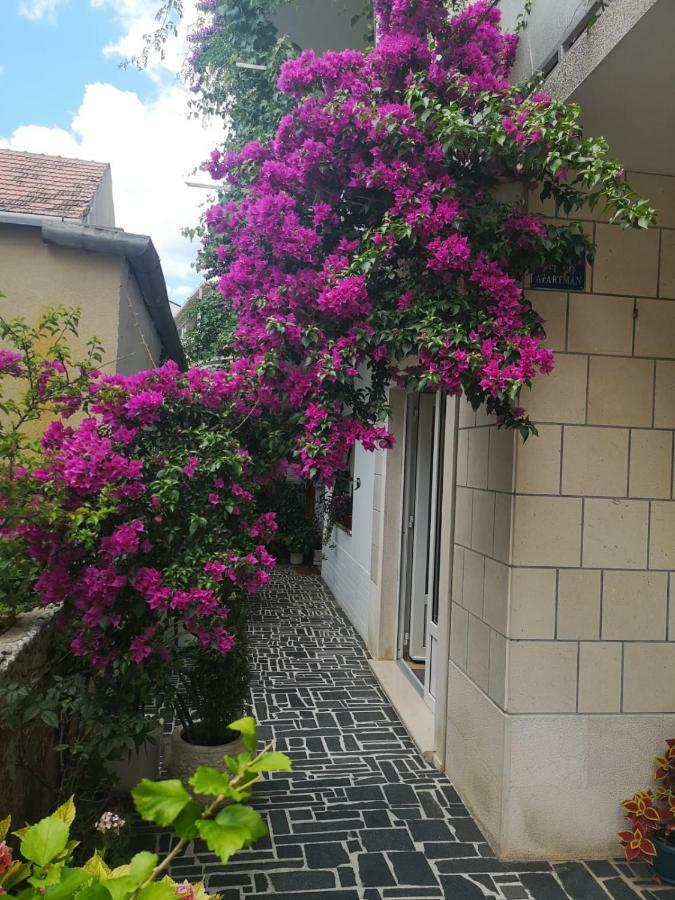 Apartment Zana